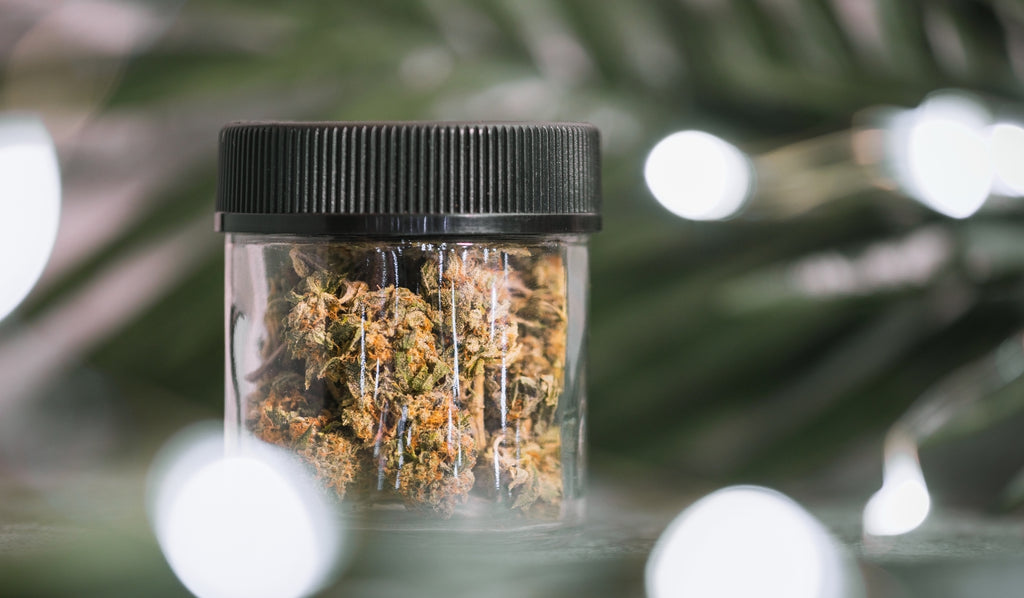 A plastic container with cannabis buds inside