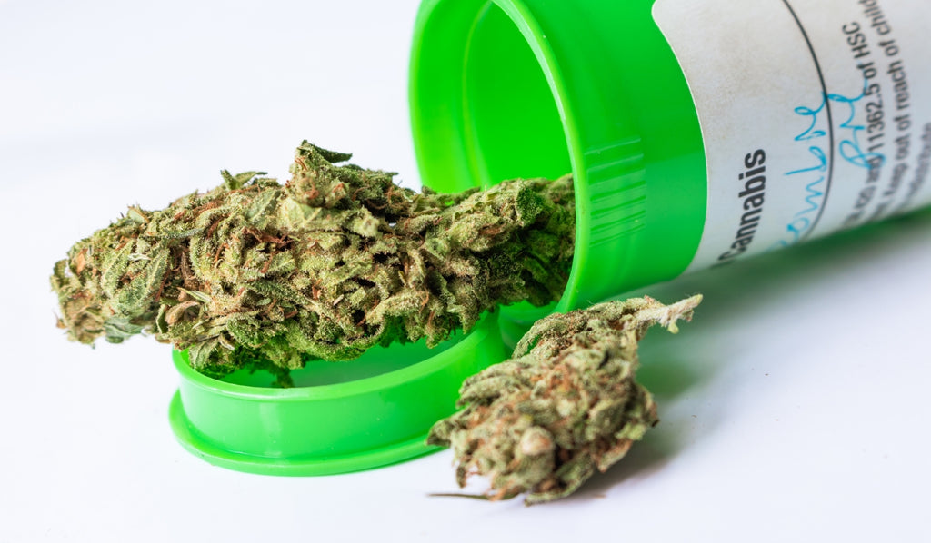 An open prescription container with cannabis buds