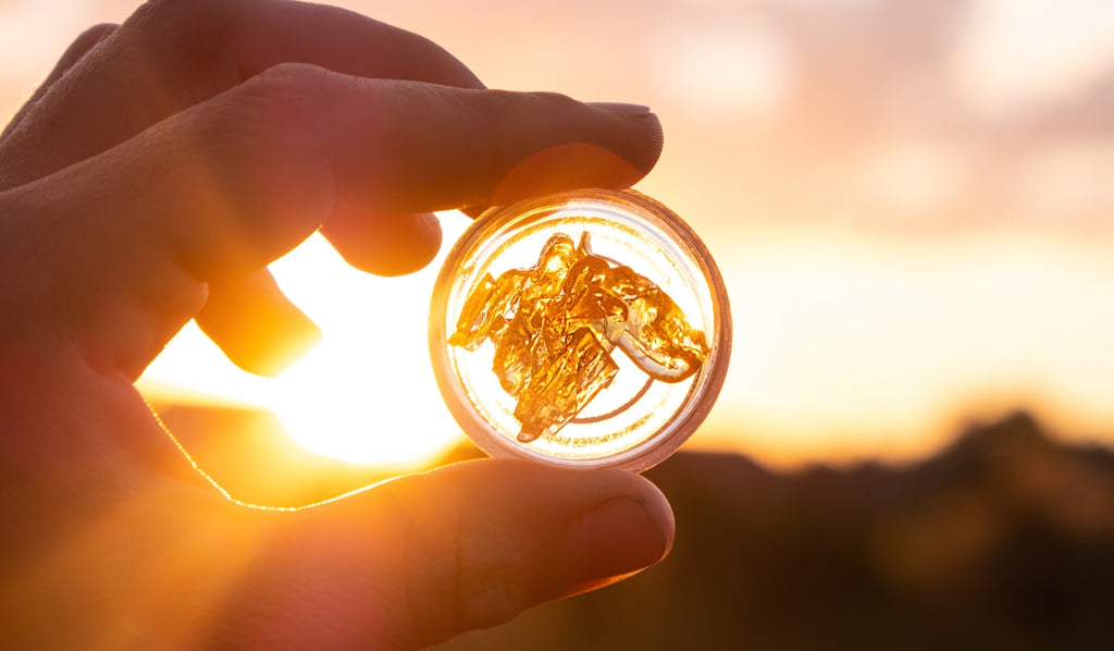 Hand holding cannabis concentrate on glass plate