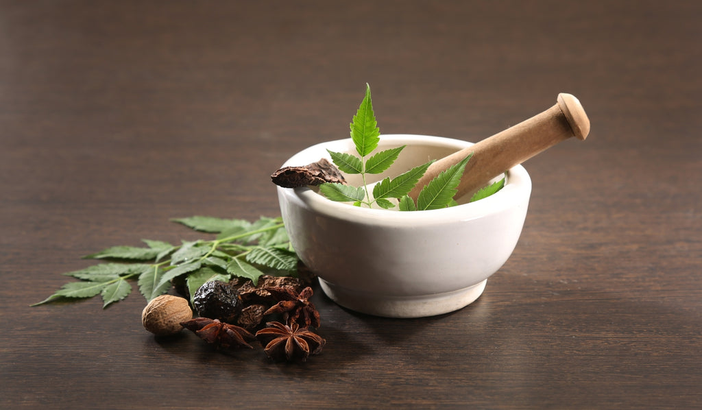 Mortar and pestle with herbs